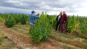 harvest time